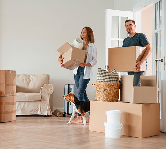 Moving In
