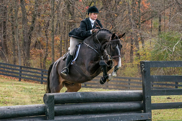 Horse Riding